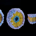 نسل جدید ربات‌ها که مانند زیردریایی در بدن شنا می‌کنند