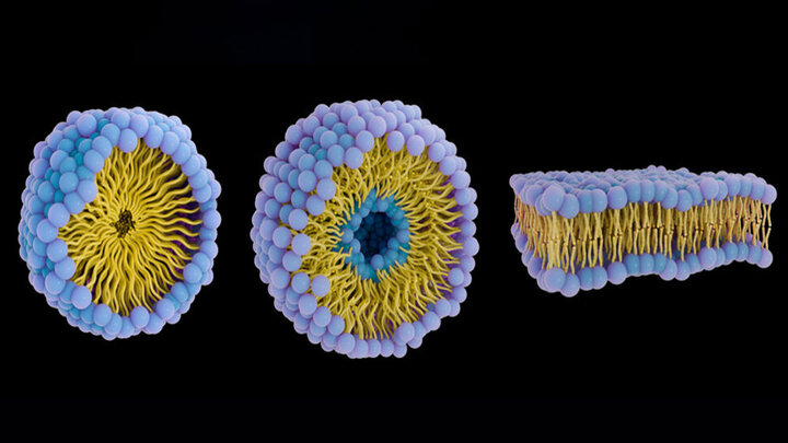 نسل جدید ربات‌ها که مانند زیردریایی در بدن شنا می‌کنند